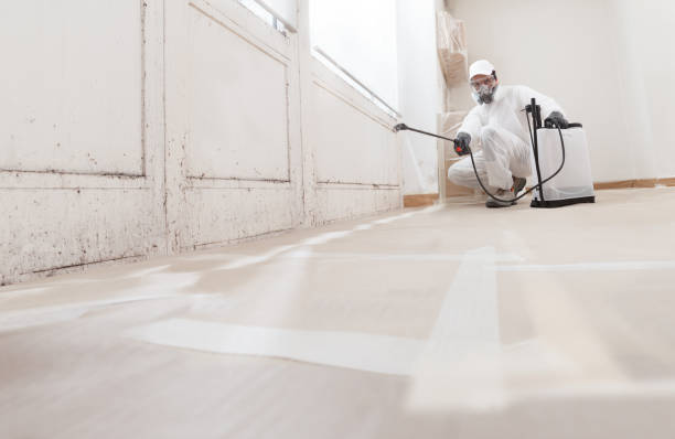 24/7 Emergency Mold Remediation experts in Phoenixville, PA